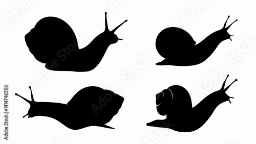 set of snail silhouette vector on white background