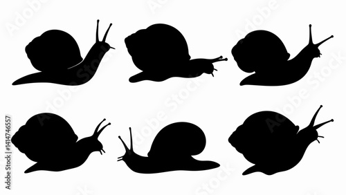 set of snail silhouette vector on white background