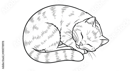 Sleeping Kitten Coloring Page Curled Up with Tail Wrapped Around Body Cozy Cat Nap Line Art Design