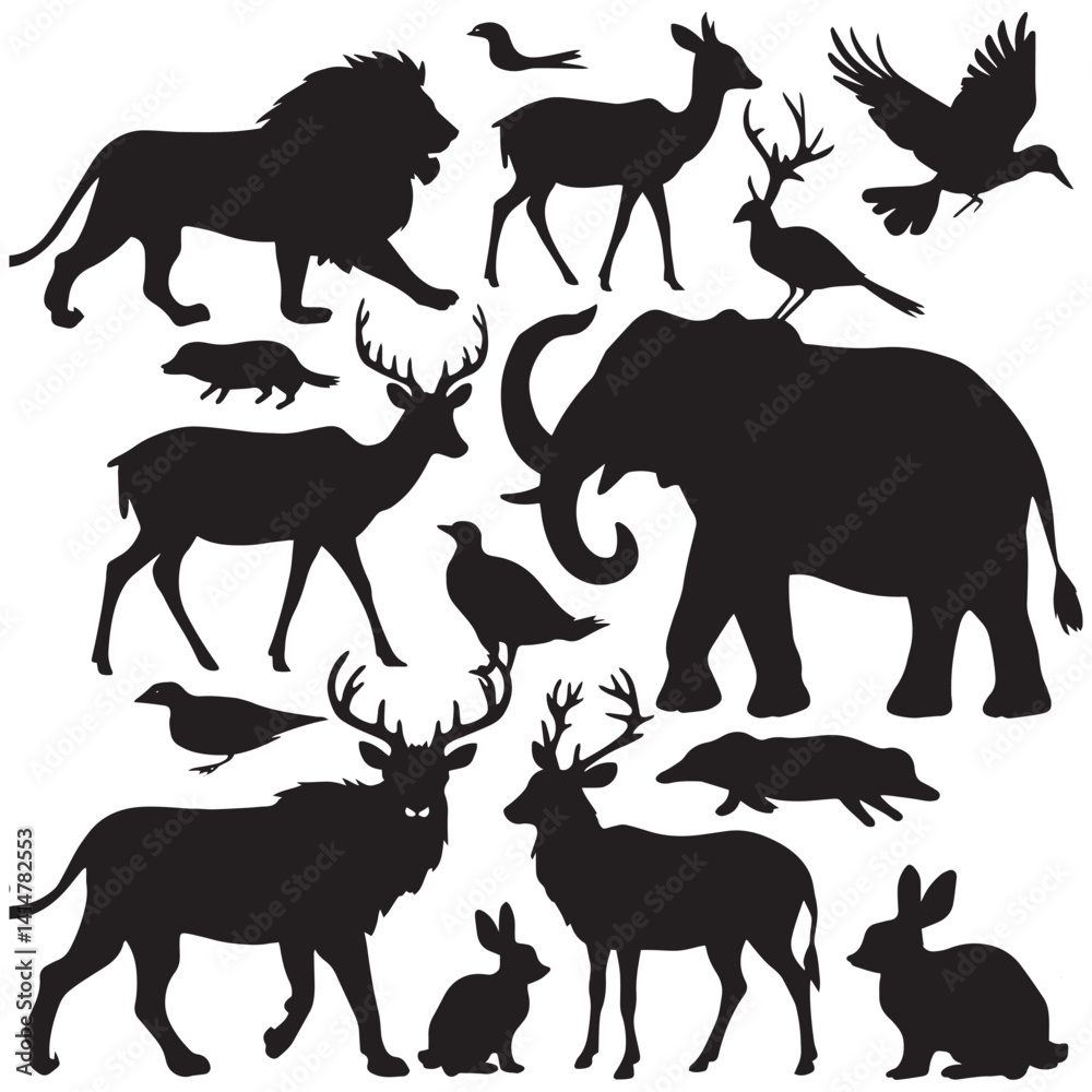 Fototapeta premium Animals Diverse, Majestic, and Wonders of Nature