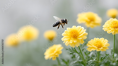 A bee sits on a flower, basking in the sunlight, with vibrant black and yellow colors, capturing the essence of nature’s pollination process.

