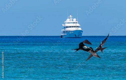 Obraz na płótnie Two Female Frigate Birds Fighting in Mid-air in the Foreground and a White Yacht is Anchored in the Background w salonie