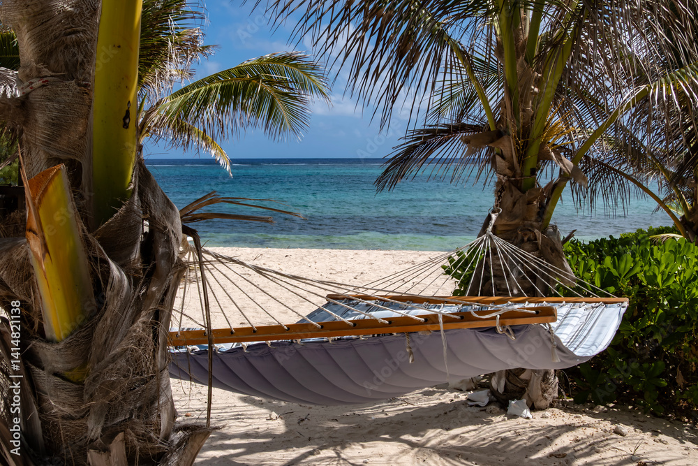 A Hammock Tied to Two Palm Trees with a View of the Caribbean Sea