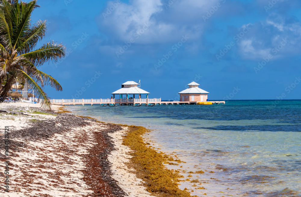 A Resort Beach in the Caribbean With Swaying Palm Trees and Colorful Seaweed on the Shore