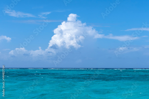 Obraz na płótnie Mesmerizing Turquoise Caribbean Ocean and Dramatic Cloudscape w salonie