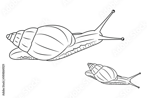 Snail Line art and Silhouette Icon Set. Grape snail shell line icon vector isolated, vector illustration. 