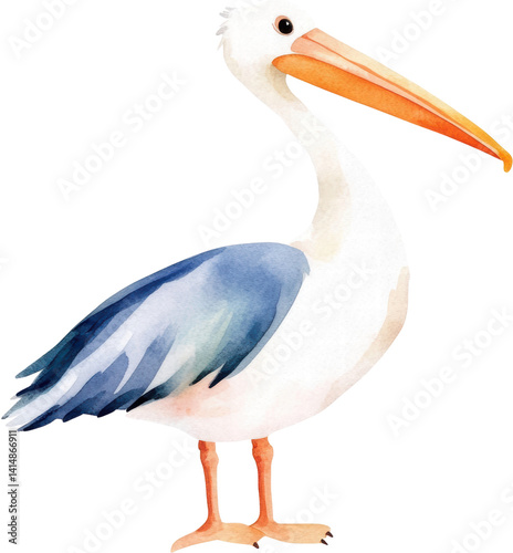 Watercolor Painting of a Majestic Pelican Bird Standing Tall
