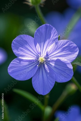 a close up of a blue flower with a green stem