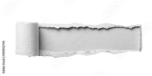 Torn Paper Strip with Textured Edges on White Background