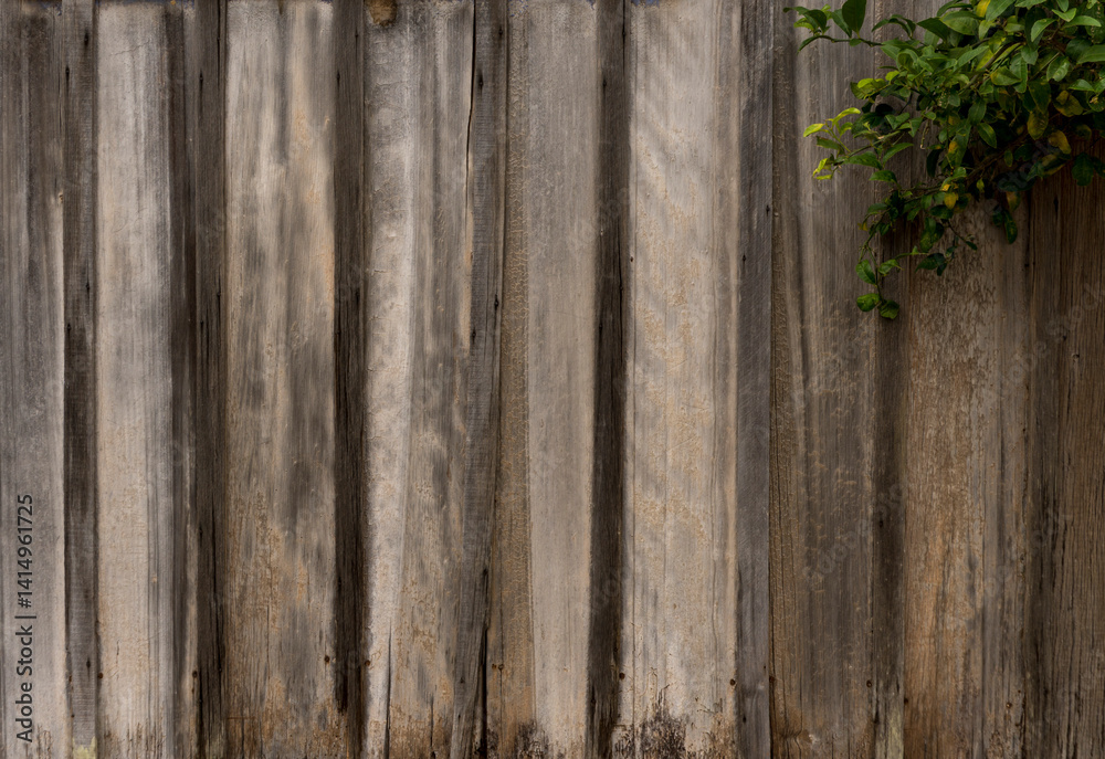 Aged rustic wooden background texture in natual color, no paint.. Aged rustic wooden background texture in natual color, no paint..