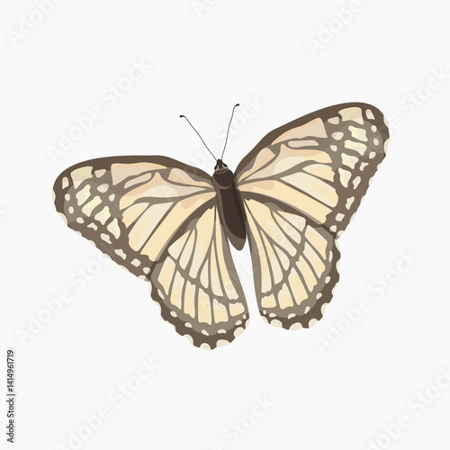 Aesthetic beige butterfly illustration vector