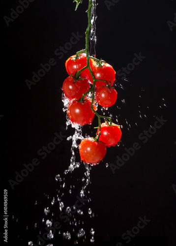 cherry tomato getting splash of water on black background.