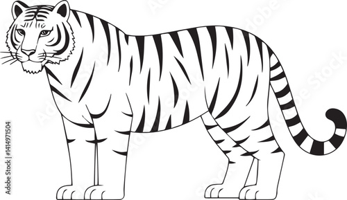 Tiger Outline Illustration