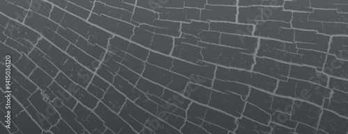 Dark gray background with a cracked texture. The background features a web-like pattern. Gray color enhances the background's edgy style. Cracked texture vintage background vector