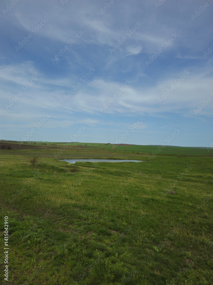 A green grass field