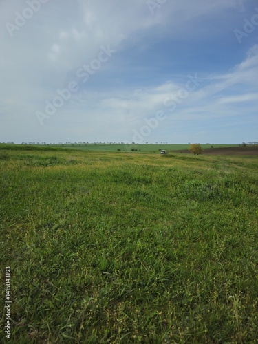 Obraz na płótnie A green grass field w salonie