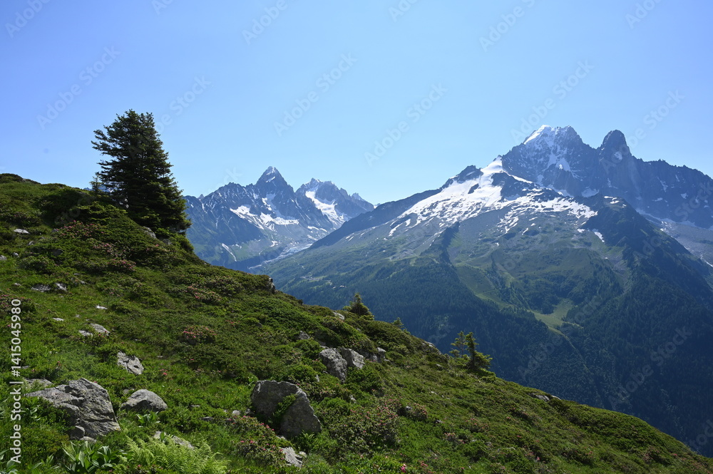 Aiguille du Chardonnet und Aiguille d’Argentiere