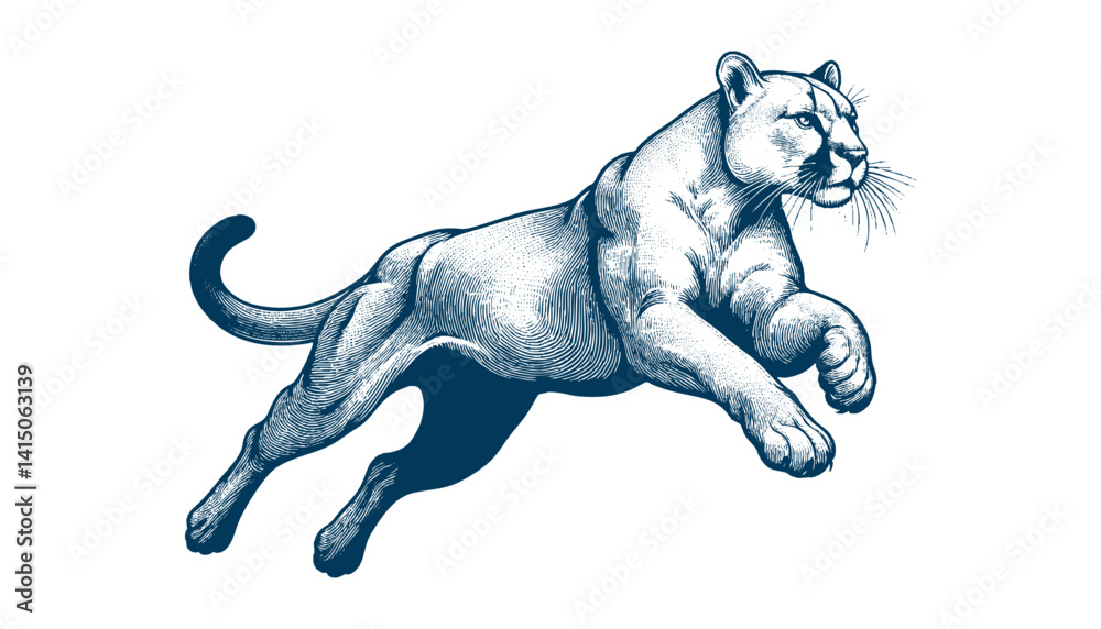 Obraz premium puma vector