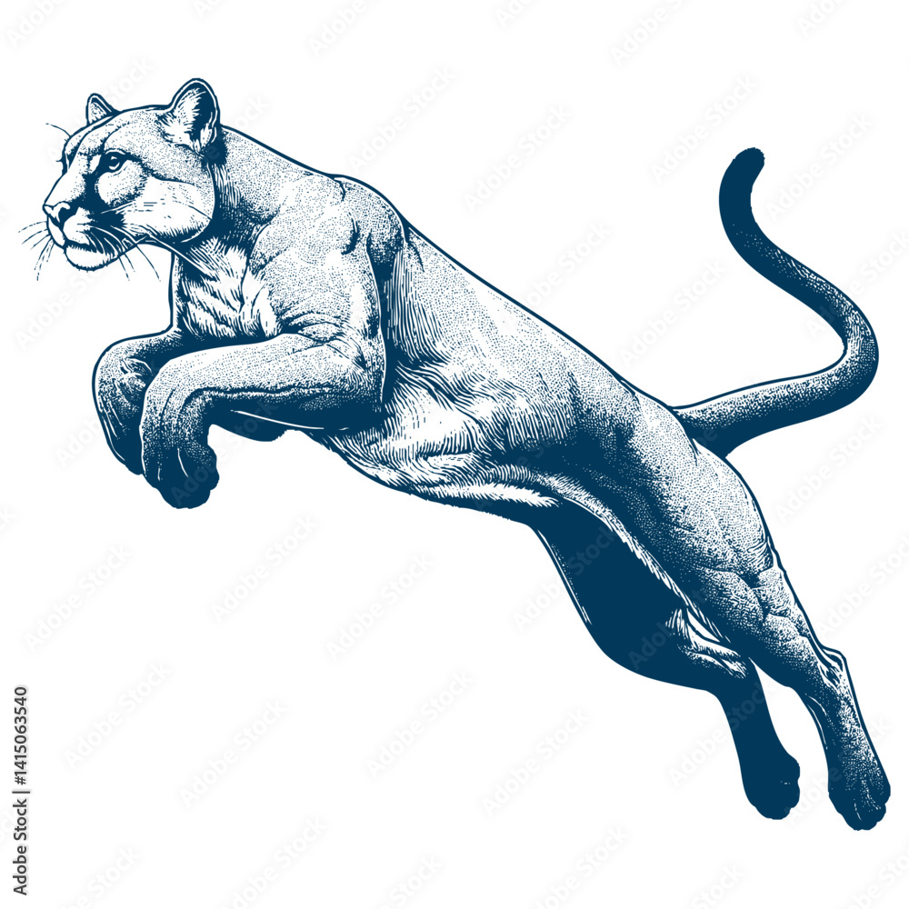 Obraz premium puma vector