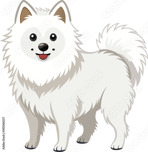 American Eskimo Dog