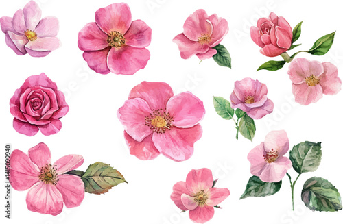 set of pink flowers