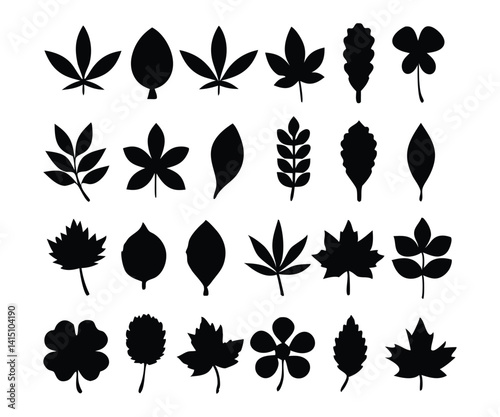 Different leaves vector silhouette set