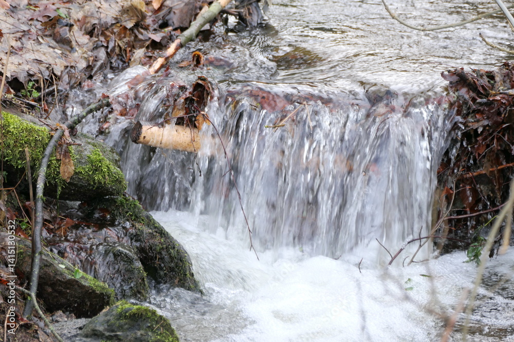 Bach im Wald