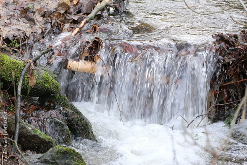 Obraz na płótnie Bach im Wald w salonie