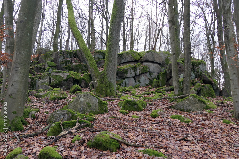 Felsen auf dem Hahlkopf bei Fischbachtal im Odenwald