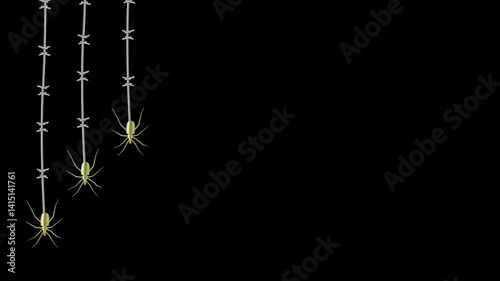 An iron web made of barbed wire and a steel spider.
 Animation