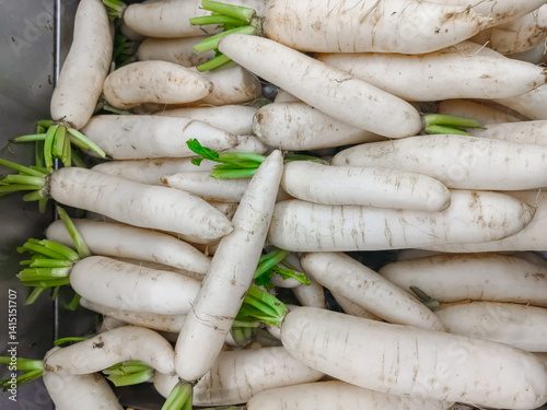 The radish or Raphanus sativus is a flowering plant in the mustard family, Brassicaceae. Its large taproot is commonly used as a root vegetable, although the entire plant is edible and its leaves also