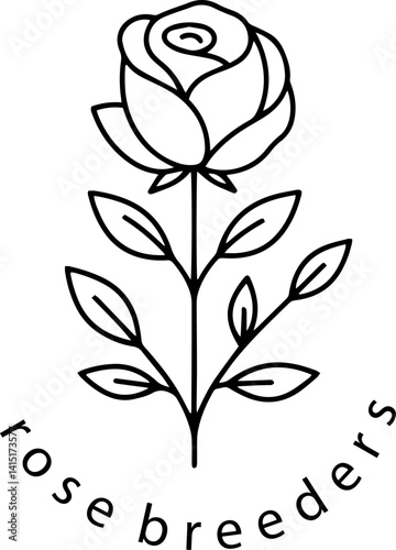 Rose line art illustration vector. Plant nursery breeders shop flowers. Suitable branding wedding invitations botanical art. Minimalist style line drawing white background