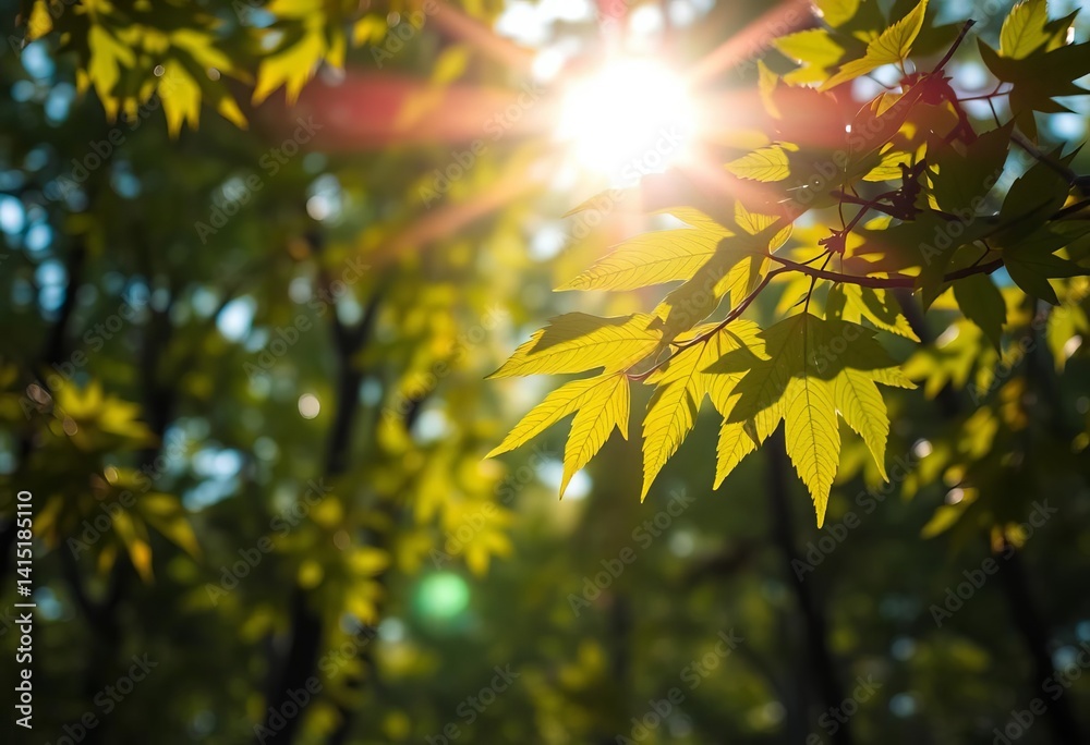 Obraz premium Sunlit leaves, blurred bokeh highlights in forest canopy, green, woodland