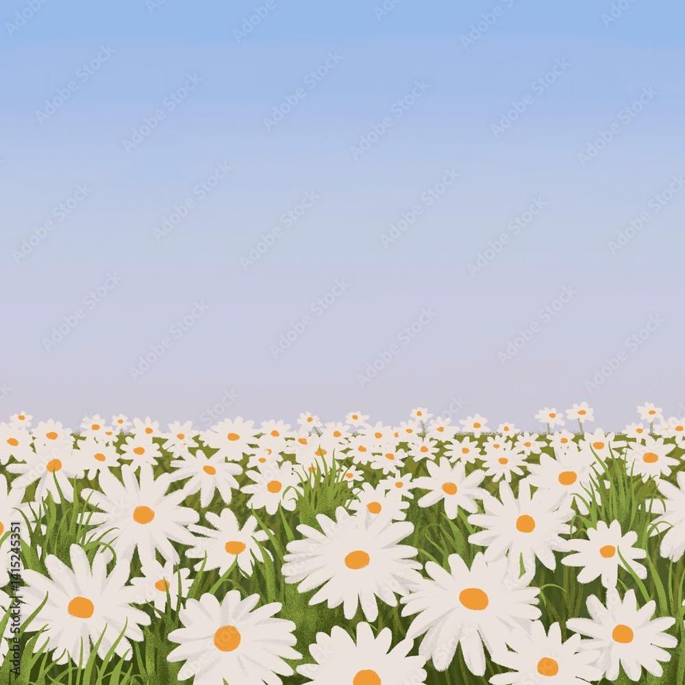 Daisy flower field background, minimal spring design