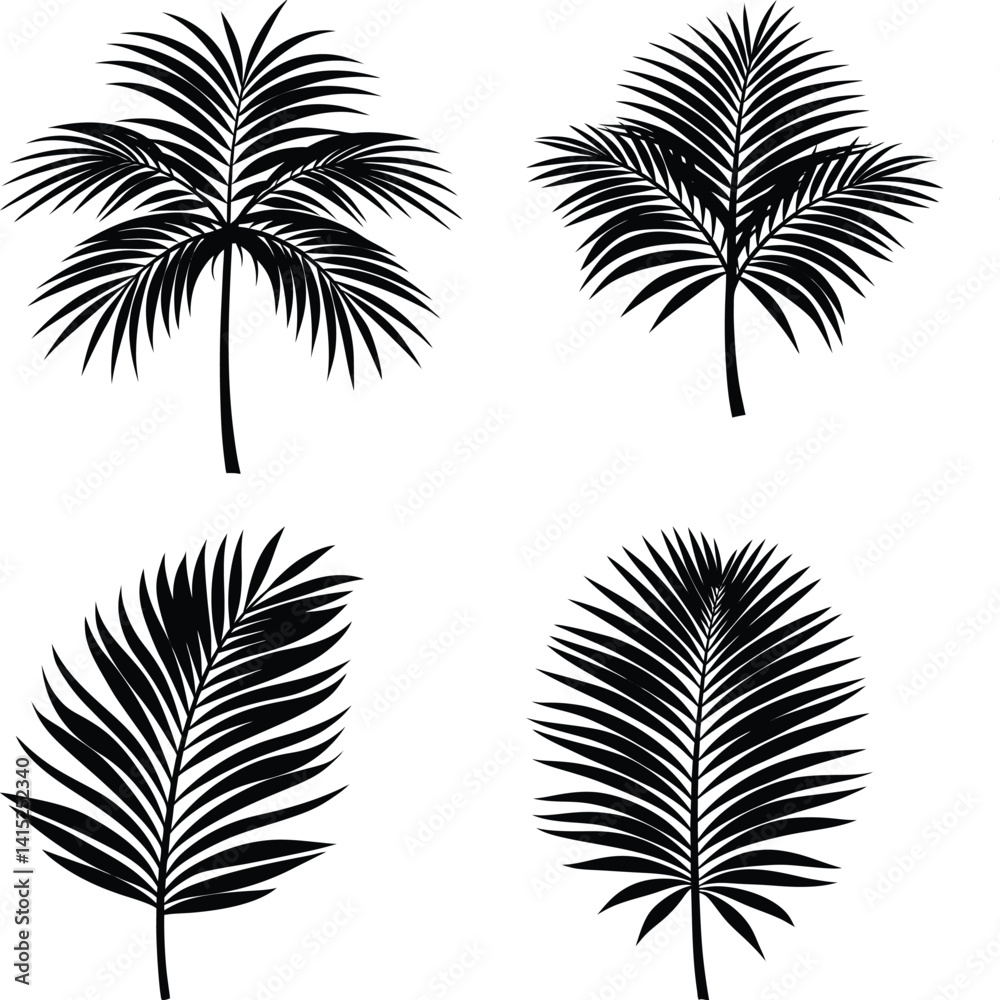 Obraz premium Palm Leaf Silhouette vector illustration