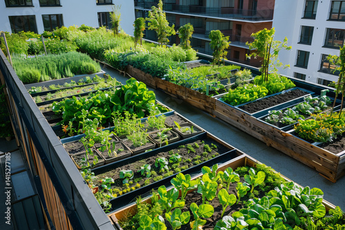 A garden with green vegetables on top of rooftop of the modern building. Urban agriculture on the rooftop of the building