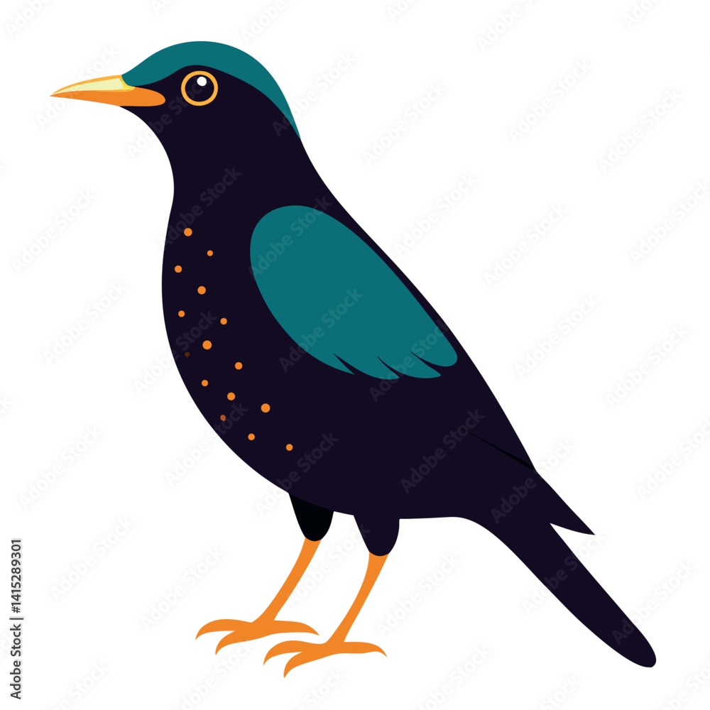 Obraz premium Starling-isolated-on-white-background