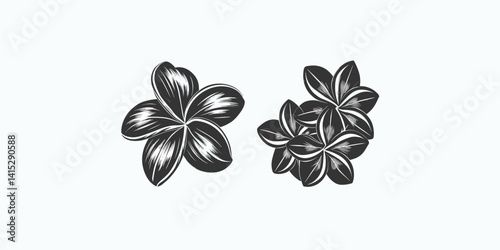Print  Silhouette plumeria flower black color only vector