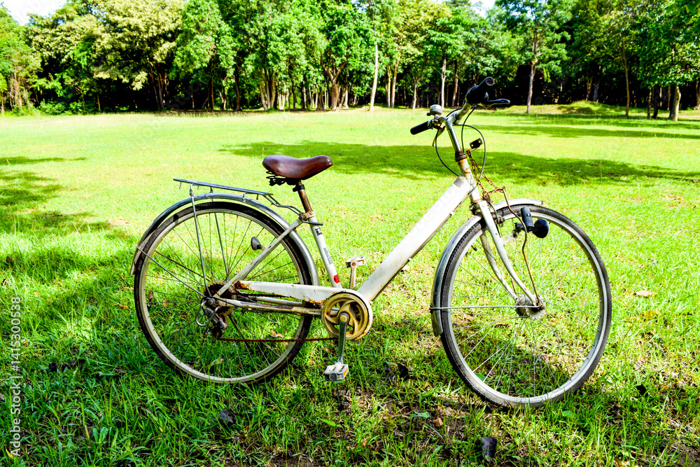 Fototapeta premium Vintage Bicycle in Sunny Green Park with Trees and Blue Sky