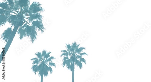 Wallpaper Mural Silhouette of tropical palm trees on sky Torontodigital.ca