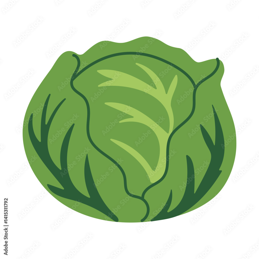 A green cabbage is shown in the image. The cabbage is the main focus of the image and is surrounded by a white background. The image has a simple and clean look