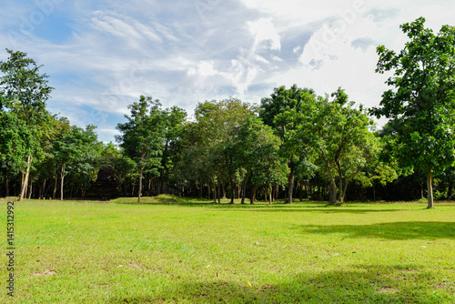Beautiful morning light in public park with green grass field, Green beautiful park in morning, Garden Landscape With Cloudy sky, Sky and green grass field in city park.