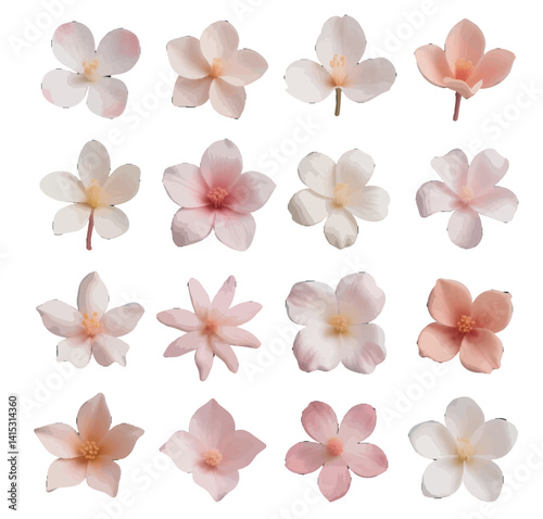 set of frangipani flowers