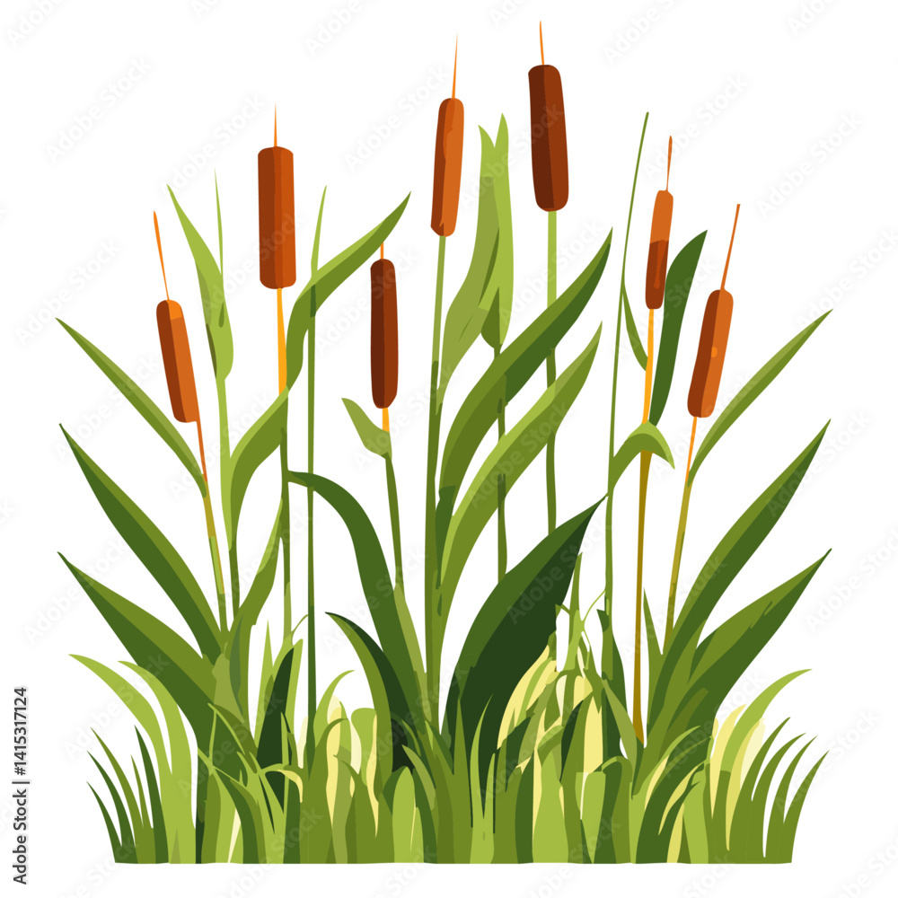Wetland nature elements set - marsh plants with cattails, vector graphic design