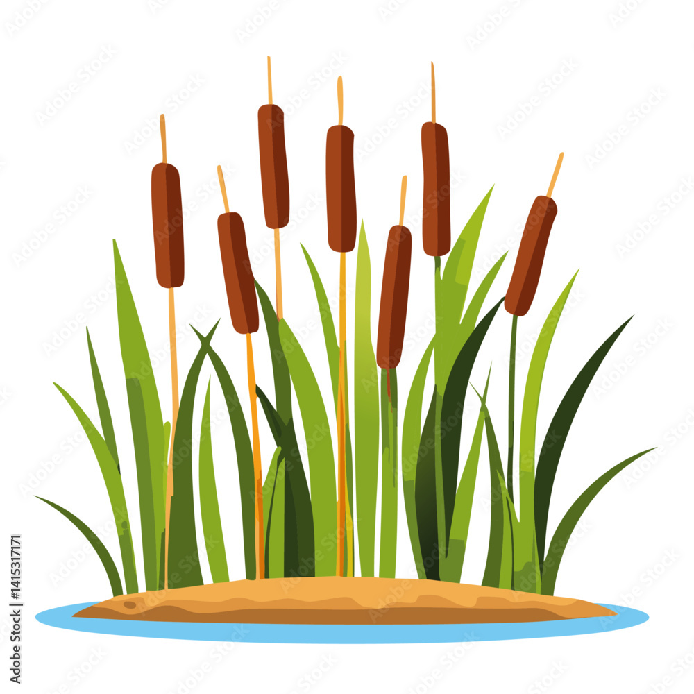 Wetland nature elements set - marsh plants with cattails, vector graphic design