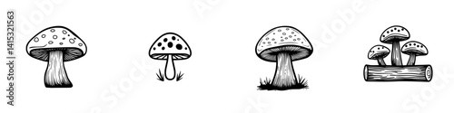 Vector illustration of various mushrooms with distinct shapes, sizes, and textures in a detailed and artistic style