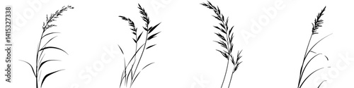 Vector illustration of grass blades in various styles showcasing natural beauty and botanical detail