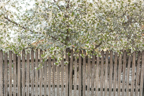 Obraz na płótnie Beautiful rural landscape from the Republic of Moldova. Village life in spring. w salonie