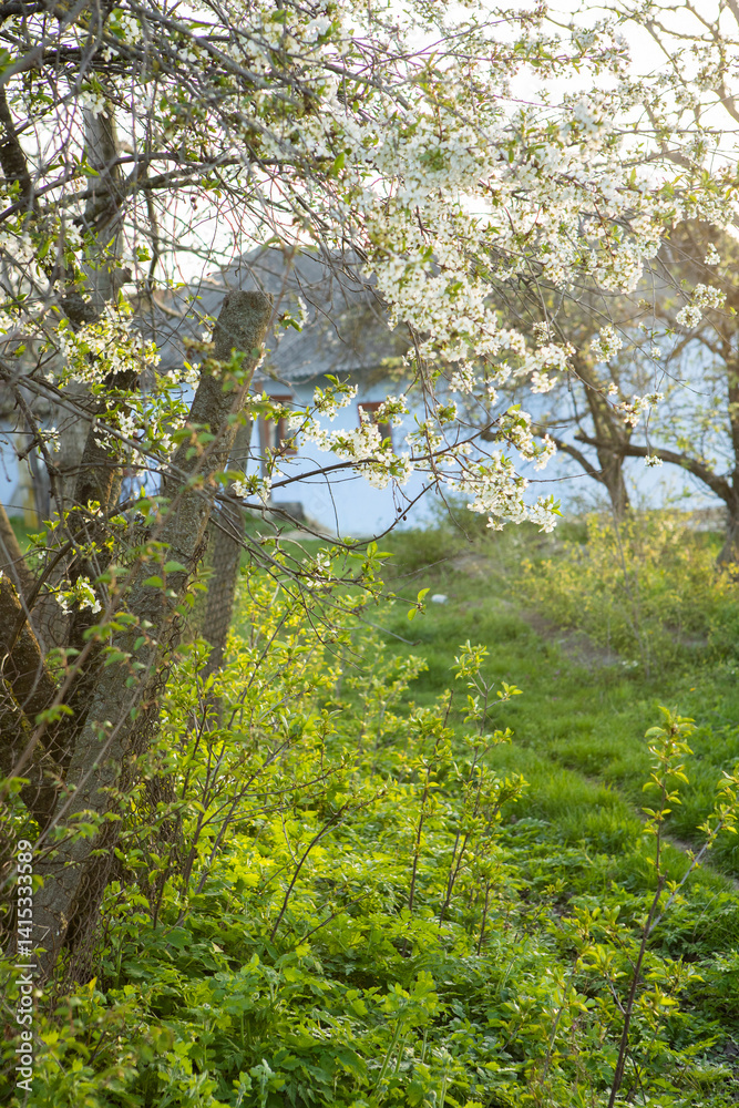 Beautiful rural landscape from the Republic of Moldova. Village life in spring.