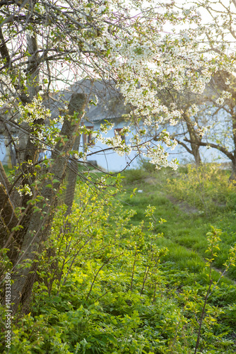 Obraz na płótnie Beautiful rural landscape from the Republic of Moldova. Village life in spring. w salonie